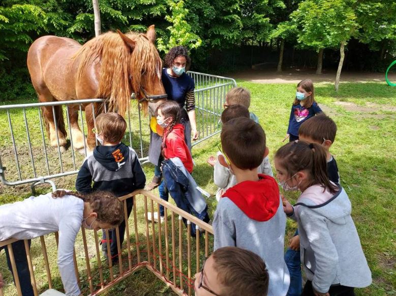 Près d’Angers. Les écoliers ont appris l’« écologie au quotidien » avec Éole, cheval de trait