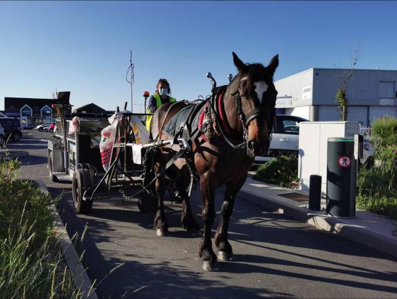 Saint-Gilles-Croix-de-Vie. Avec le cheval, elle sensibilise le public au ramassage des déchets