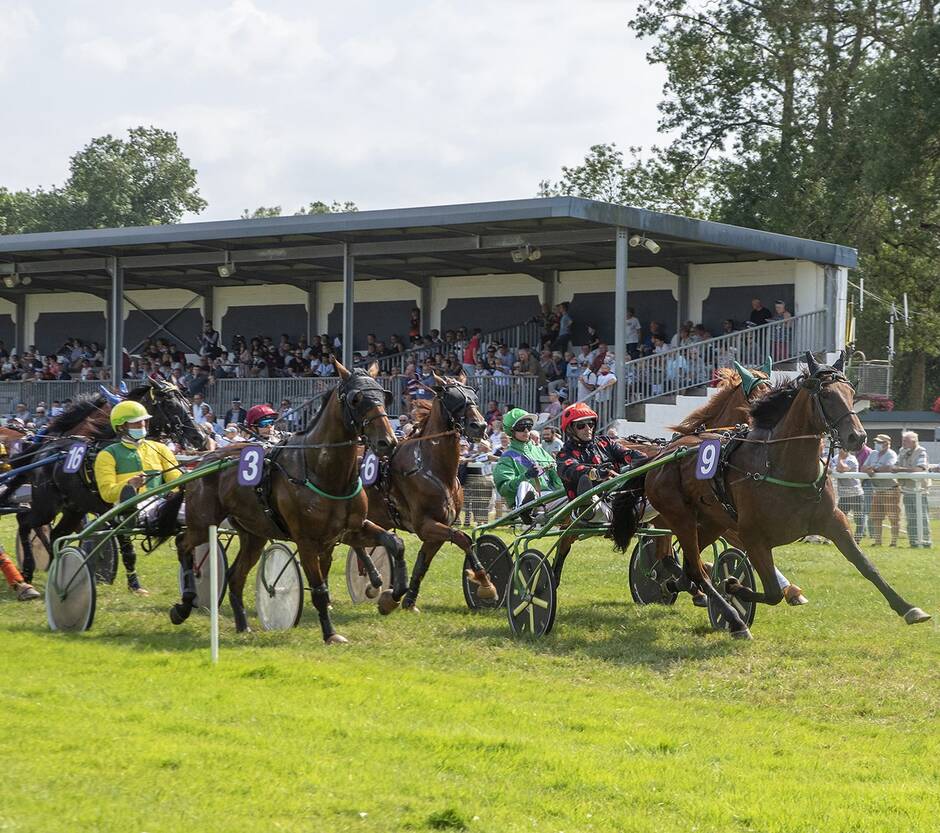 Rochefort-sur-Loire. Succès pour le premier week-end de courses équestres