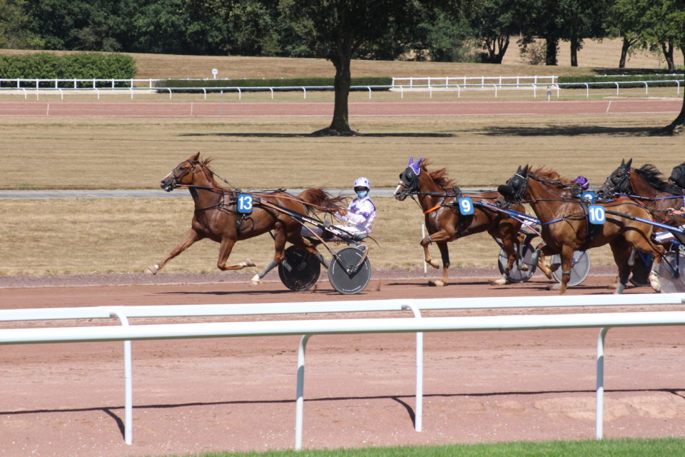 Châteaubriant : des courses hippiques ce week-end sur l'hippodrome Métairie neuve