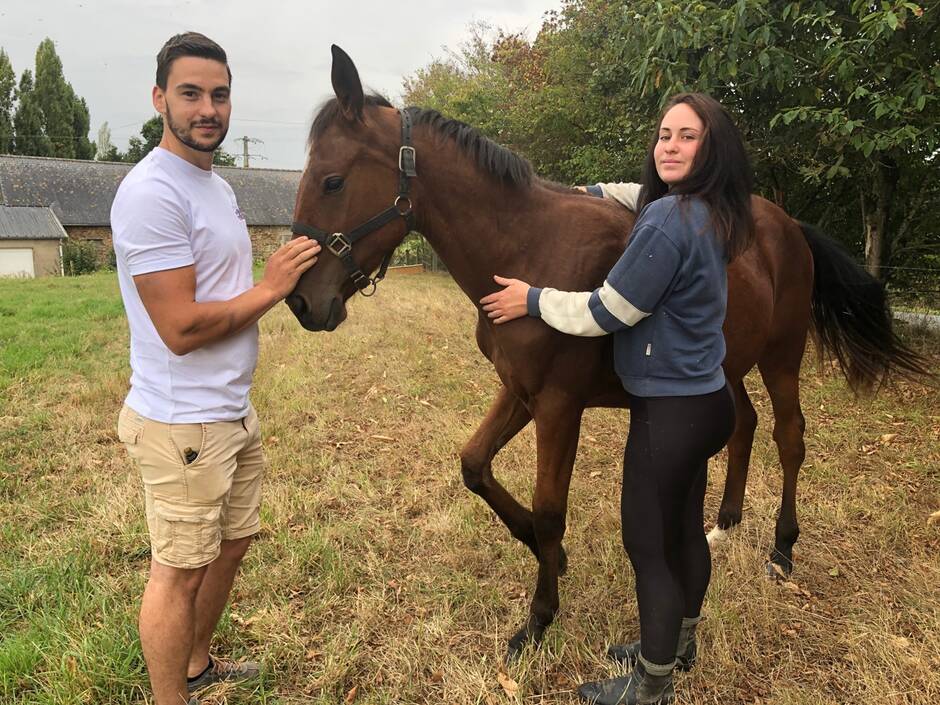 «Il a fallu six mois pour le faire regrossir» : en Mayenne, Jessica sauve les chevaux en piteux état