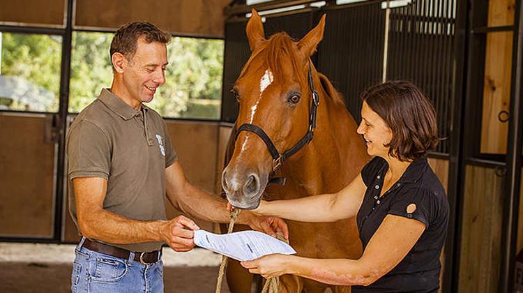 Quel impact aura la suppression de la garantie légale de conformité sur le commerce de chevaux ?