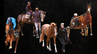 Le concours des meilleurs apprentis de France intègre quatre nouveaux métiers « cheval »