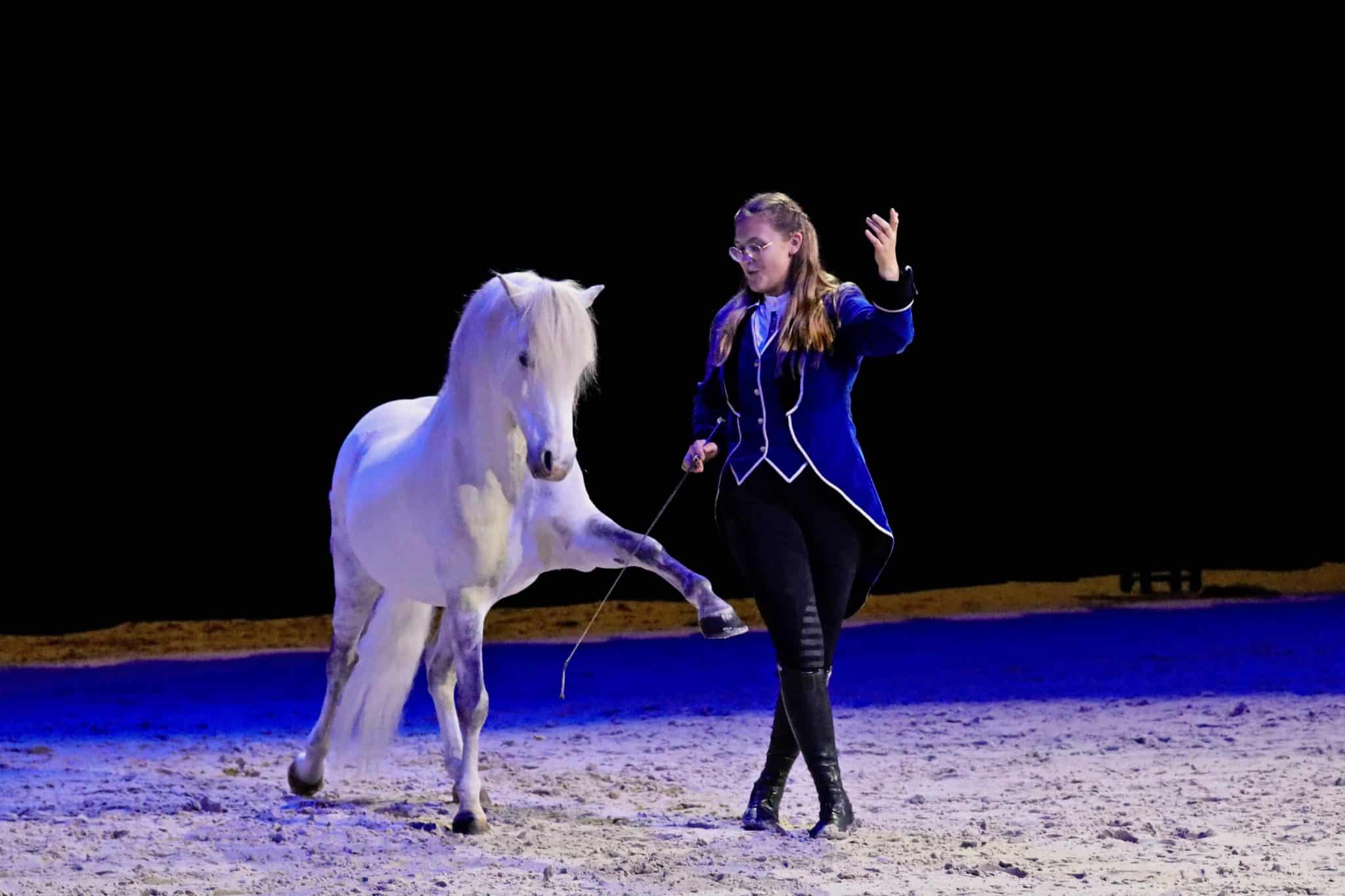 Salon du Cheval d'Angers : les Étoiles Équestres ont leurs finalistes