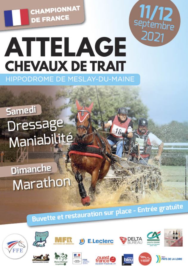 Concours National d'attelage - Championnat de France d'attelage des chevaux de trait