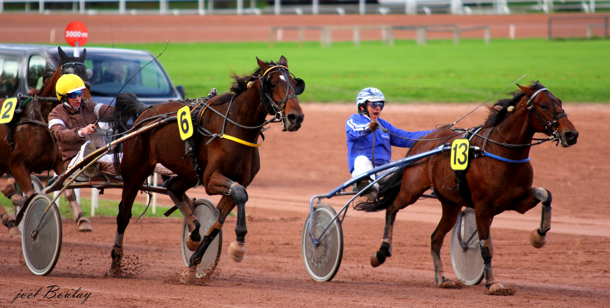 Courses hippiques