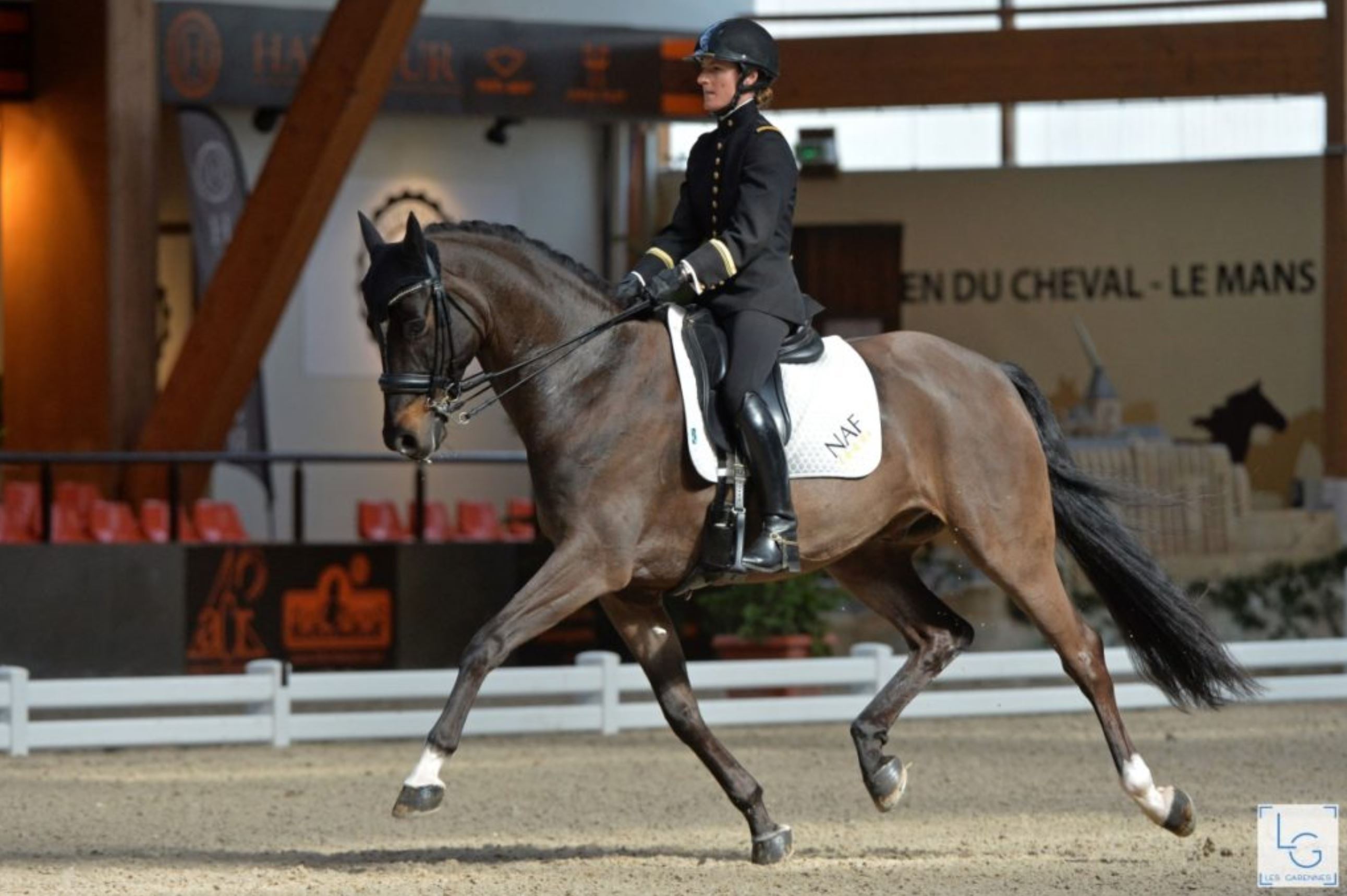 Début de saison victorieuse en dressage pour deux Écuyers du Cadre Noir |  Conseil des équidés Pays de Loire