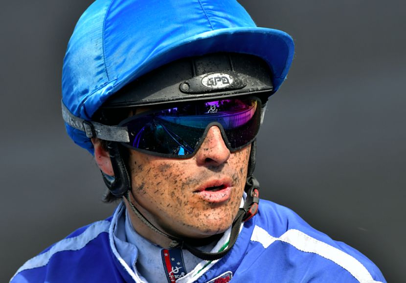 Eric Raffin passe la barre des 200 succès Conseil des équidés Pays de