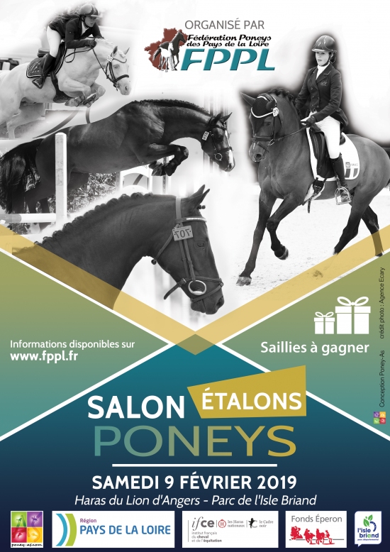 Salon des étalons poneys au Lion d'Angers