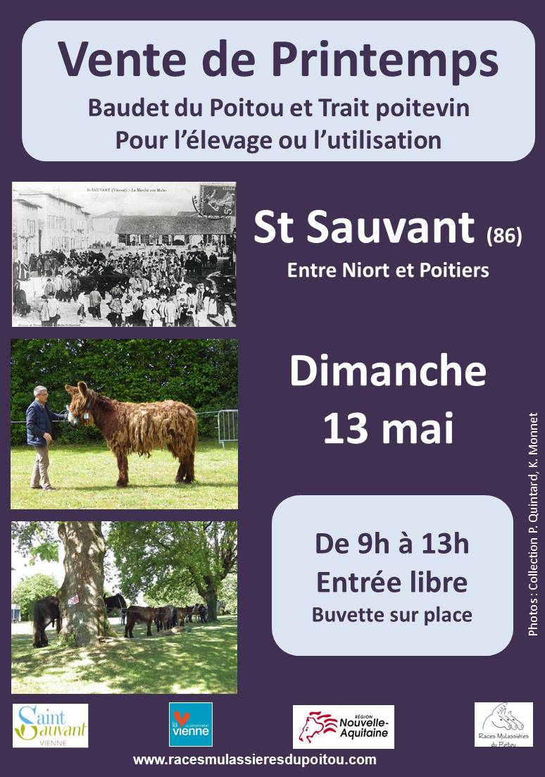Vente de printemps des races mulassières du Poitou